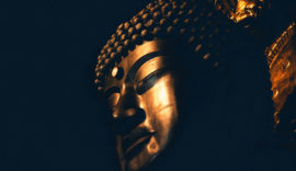 L’EVOLUZIONE DI YOGA METROPOLITAN STUDIO